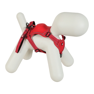 Zolux Easyride Geschirr rot Mini 130 cm