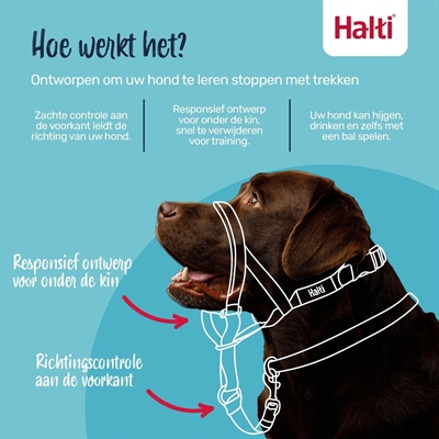THE COMPANY OF ANIMALS COMPANY OF ANIMALS HALTI HEADCOLLAR ZWART