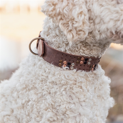 TRIXIE HALSBAND HOND RIVET RUSTIC VETLEER DONKERBRUIN