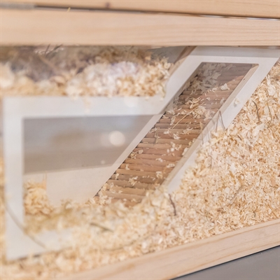 TRIXIE OBSERVATIEBOX MUIS / HAMSTER MET TUNNEL ONBEHANDELD HOUT
