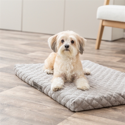 TRIXIE Hundekissen Noah Vital orthopädisch mit Memory Foam 5 cm, rutschfeste Unterseite, abnehmbarer Bezug - Hellgrau - 90x65 cm