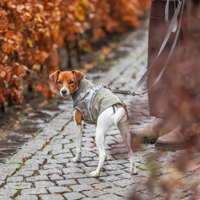 TRIXIE REGENJAS HOND PONTIS RAIN MET TUIG OLIJFGROEN