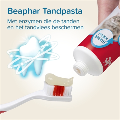 BEAPHAR TANDPASTA EN BORSTEL COMBI-PACK
