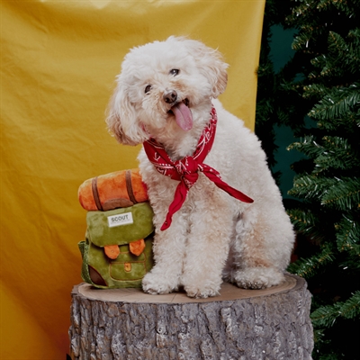 BARK ROWDY RUCKUS Plüsch-Snackrucksack Hide & Seek Grün