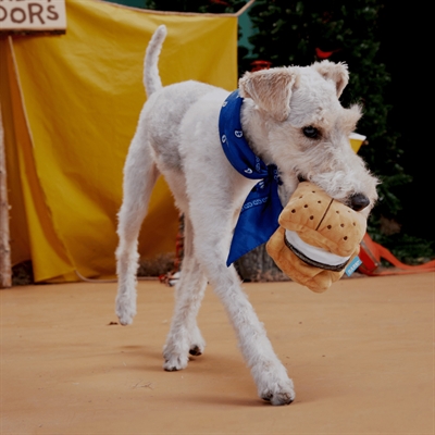 BARK More Smore's Plüsch-Hundespielzeug 22x14x10 cm