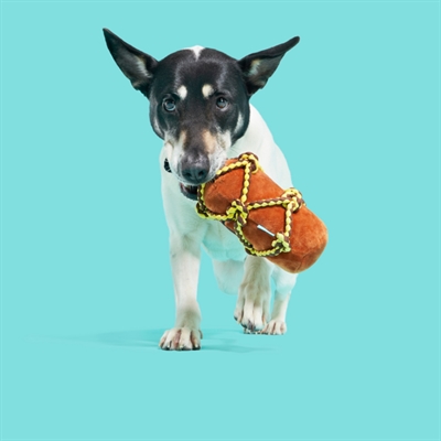 BARK BARKBEARD'S RUM RUMFLES PLÜSCH MIT T‑SHIRT‑SEIL