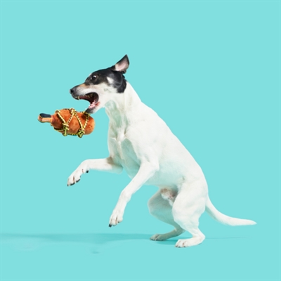 BARK BARKBEARD'S RUM RUMFLES PLÜSCH MIT T‑SHIRT‑SEIL
