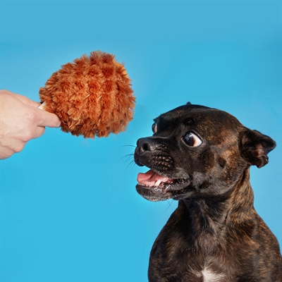 BARK Plüsch Truthahnschenkel Tavern Turkey Leg – Versteckter quietschender Spiky-Ball, langhaarig & weich gefüllt – Braun – 20x12x12 cm