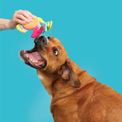 BARK Plüsch-Hundespielzeug Ahi Tina Regenbogenfisch Mix Materialien, Quietscher & Schüttelflossen - Regenbogen - 26x18x6