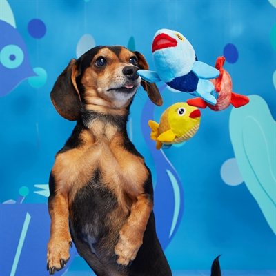 BARK Plüsch-Hundespielzeug THE GROUPERS DREI FISCHE 3-in-1-Set mit Quietschern und Knisper - Rot/Blau/Gelb - 23x22x8 cm / bis 10 kg