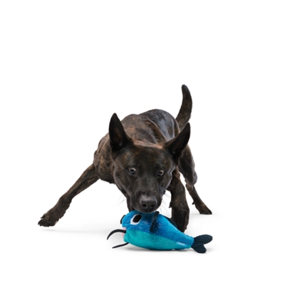 BARK Plüsch-Hundespielzeug Catfish Claude Hide & Seek - Verstecktes Leckerli-Fach, Quietscher & Knistermaterial - Blau - 21,5x24x11 cm