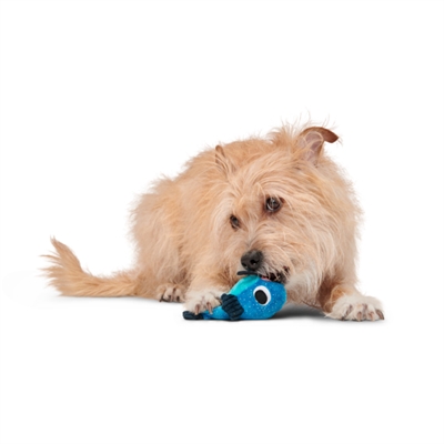 BARK Plüsch-Hundespielzeug Catfish Claude Hide & Seek - Verstecktes Leckerli-Fach, Quietscher & Knistermaterial - Blau - 21,5x24x11 cm