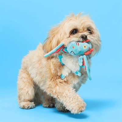 BARK GRIMBOLD THE DRAGON Drache Plüsch-Hundespielzeug Blau