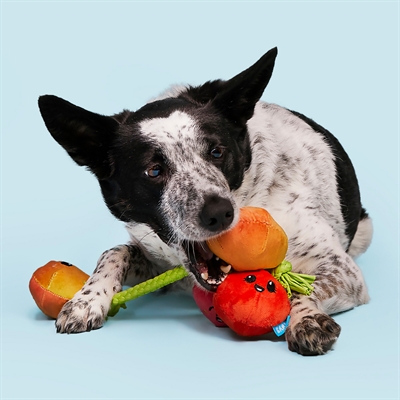 BARK Hundespielzeug HAIRLOOM Tomaten an T-Shirt-Seil Plüsch-Seil zum Ziehen, 4 Quietscher, zum Kauen geeignet - Rot - 31x9x6 cm / bis 20 kg