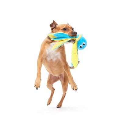 BARK Hundespielzeug Odd Otto Octopus versteckter Quietschball, Knisterstoff und 8 Tentakel - Blau - 30x12x8 cm