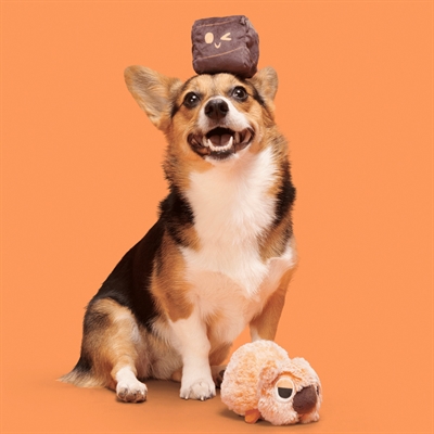 BARK Walken Wombat pluche hondenspeelgoed pluche piepend 22x15x8 cm