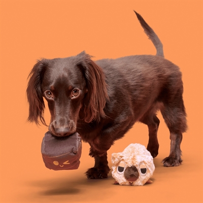 BARK Walken Wombat pluche hondenspeelgoed pluche piepend 22x15x8 cm