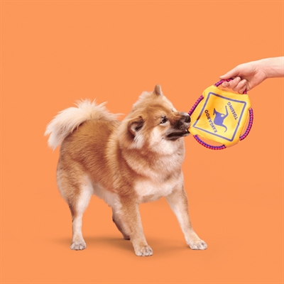 BARK Tossing Frisbee KANGAROO mit umlaufendem Flossseil, Knisterfolie, ungefülltes Design - Mehrfarbig - 33x25x2 cm