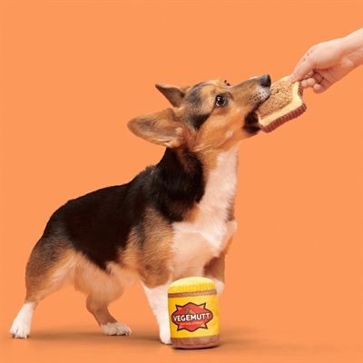 BARK Vegemutt Toast & Spread pluche hondenspeelgoed pluche piepend 22x17,5x8 cm