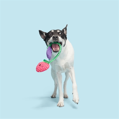 BARK Best Berry Friends pluche hondenspeelgoed pluche & flostouw piepend 22x26x5 cm