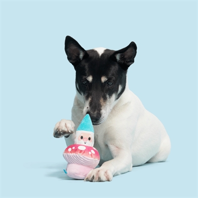 Bark Fun Guy Gnomie Homie pluche hondenspeelgoed pluche 22x14,5x10 cm