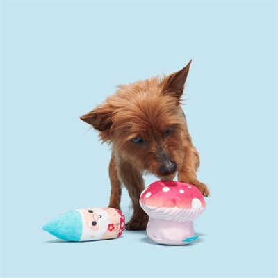 Bark Fun Guy Gnomie Homie pluche hondenspeelgoed pluche 22x14,5x10 cm