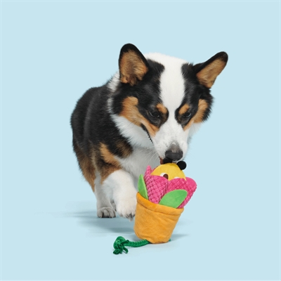 BARK Pollen Nate bij in bloempot pluche piepend met flostouw 32x15x8 cm