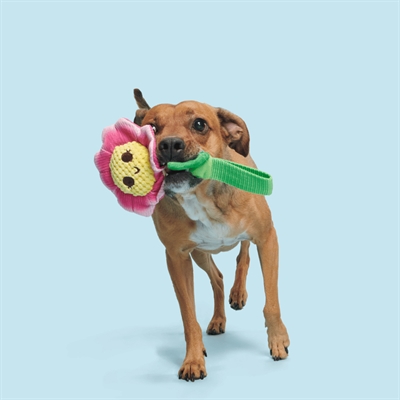 BARK Penny Pechewnia pluche hondenspeelgoed nylon steel piepend 24 cm