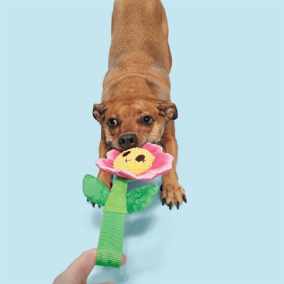 BARK Penny Pechewnia pluche hondenspeelgoed nylon steel piepend 24 cm