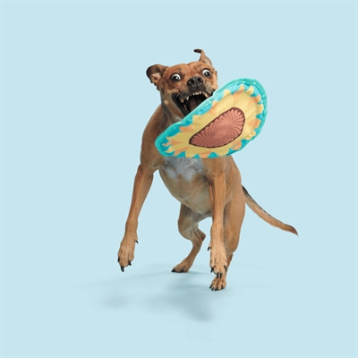BARK Sunflower Flinger frisbee stof T-shirt rope knisperend 37x28x2 cm