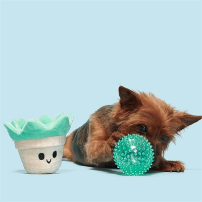 Bark Suki Succulent vetplant pluche hondenspeelgoed piepend 22x14x13 cm