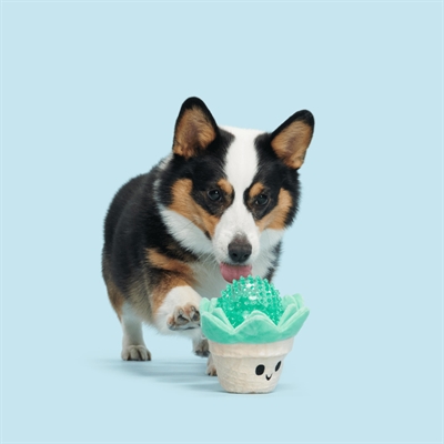 Bark Suki Succulent vetplant pluche hondenspeelgoed piepend 22x14x13 cm