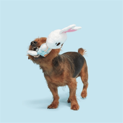 Bark Green Thumb Bun pluche hondenspeelgoed pluche piepend 31x14x6 cm