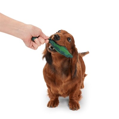 BARK A Green Chew Leaf kauwspeelgoed rubber nylon 25x14,5x5 cm