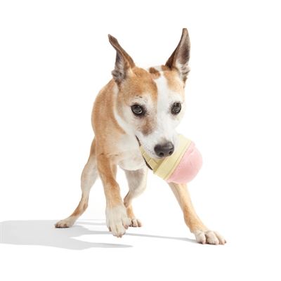 Bark I-Squeak Cone Ijsje kauwspeelgoed rubber 22x14x89 cm