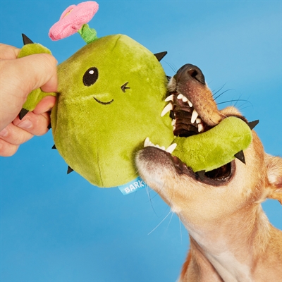 Bark Consuela The Cactus Hondenspeelgoed