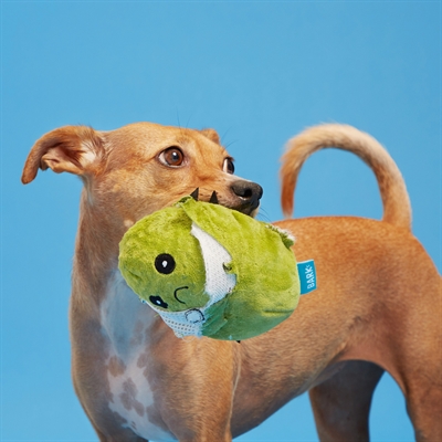 Bark Consuela The Cactus Hondenspeelgoed