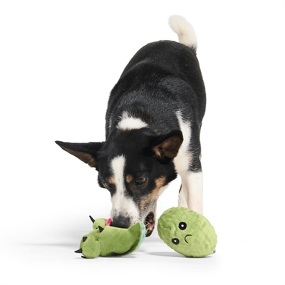 Bark Consuela The Cactus Hondenspeelgoed
