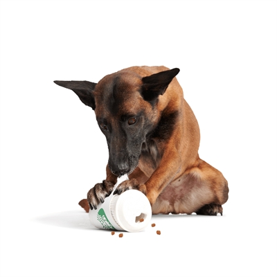 BARK Pupkin Spice Yappucino rubber kauwspeelgoed Super Chewer 14x9x9 cm