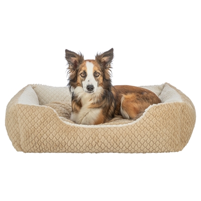 TRIXIE HONDENMAND KALINE MIO HOEKIG LICHTBRUIN / CREME