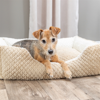 TRIXIE HONDENMAND KALINE MIO HOEKIG LICHTBRUIN / CREME