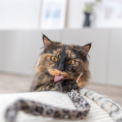 TRIXIE KATTENHENGEL STAART PANTERPRINT PLUCHE MET KATTENKRUID / CATNIP