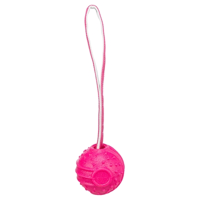 TRIXIE WERPBAL SOFT & STRONG TPR ROZE