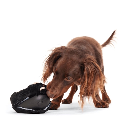 BARK Black Bear Bones pluche hondenspeelgoed rubber piepend 13x9x7 cm