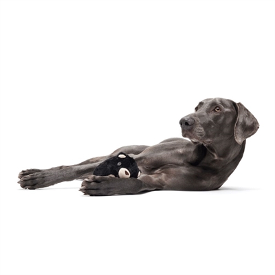 BARK Black Bear Bones pluche hondenspeelgoed rubber piepend 13x9x7 cm