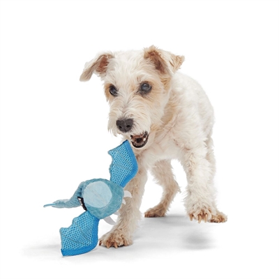 Bark Brrrtha The Dragon kauwspeelgoed pluche en rubber piepend 19x9x6 cm