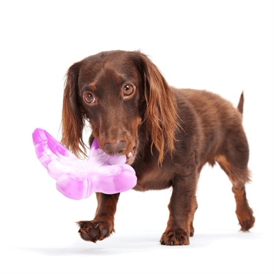 Bark Fairy Dogmother kauwspeelgoed nylon voor grote honden 13x13x6 cm