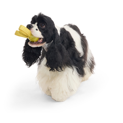 BARK The Golden Snitch Super Chewer hondenspeelgoed rubber nylon 19x5x5 cm