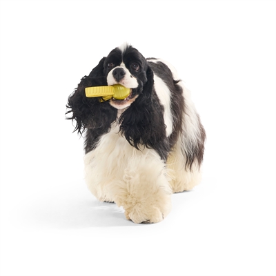 BARK The Golden Snitch Super Chewer hondenspeelgoed rubber nylon 19x5x5 cm