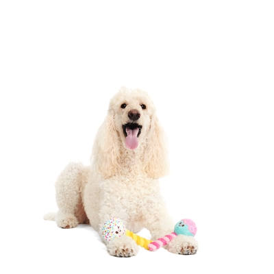 BARK Cake Pups Birthday pluche hondenspeelgoed pluche piepend 15x8x6 cm